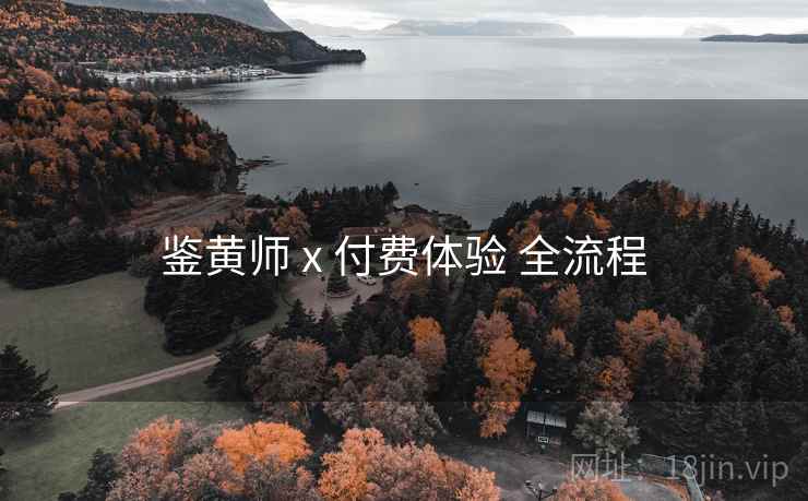 鉴黄师 x 付费体验 全流程 第2张 鉴黄师 x 付费体验 全流程 第2张